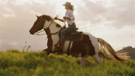 Cowgirl Vidéos Porno 